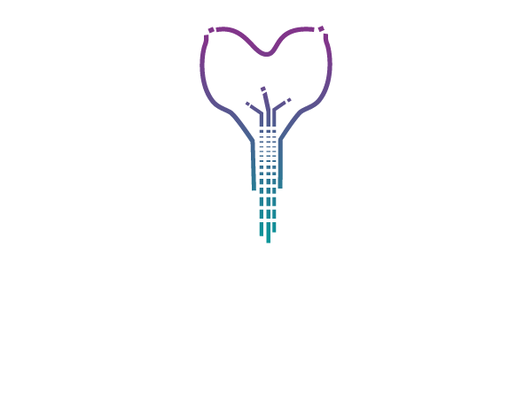 3D Lab
